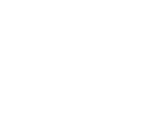 demmas charter logo bianco